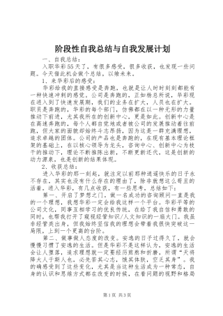 2024年阶段性自我总结与自我发展计划