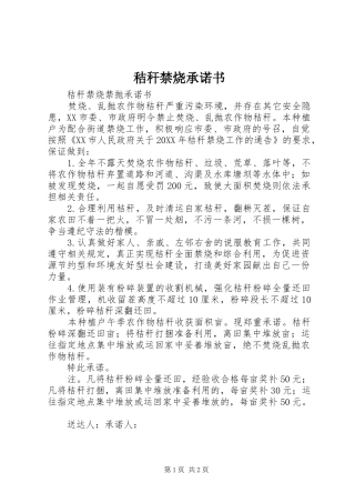 2024年秸秆禁烧承诺书