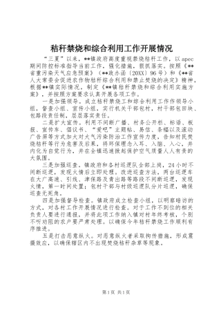 2024年秸秆禁烧和综合利用工作开展情况