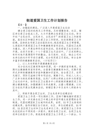 2024年街道爱国卫生工作计划报告