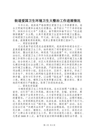 2024年街道爱国卫生环境卫生大整治工作进展情况