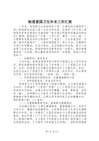 2024年街道爱国卫生年末工作汇报