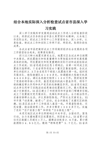 2024年结合本地实际深入分析检查试点省市县深入学习实践