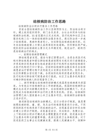 2024年结核病防治工作思路