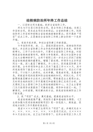 2024年结核病防治所年终工作总结