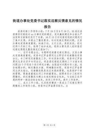 2024年街道办事处党委书记落实巡察反馈意见的情况报告