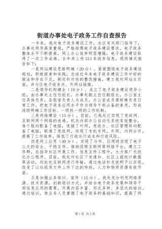 2024年街道办事处电子政务工作自查报告