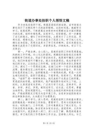 2024年街道办事处挂职个人领悟文稿