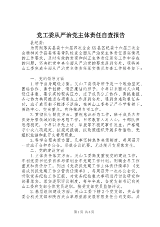2024年党工委从严治党主体责任自查报告