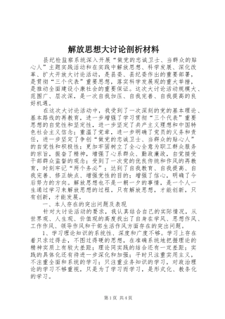 2024年解放思想大讨论剖析材料