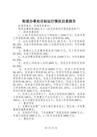 2024年街道办事处目标运行情况自查报告