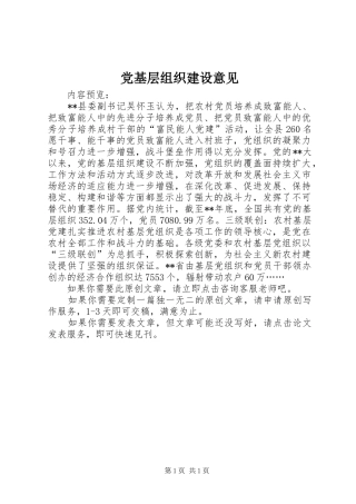 2024年党基层组织建设意见