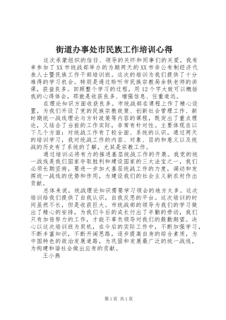 2024年街道办事处市民族工作培训心得