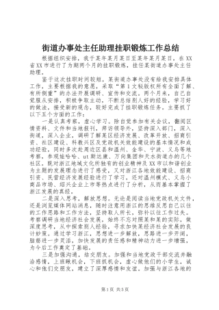 2024年街道办事处主任助理挂职锻炼工作总结