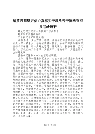 2024年解放思想坚定信心真抓实干埋头苦干陈勇到双泉苍岭调研