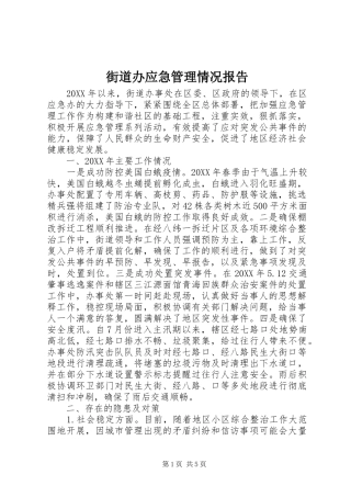 2024年街道办应急管理情况报告
