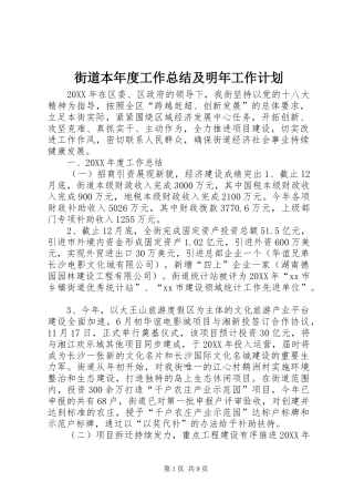 2024年街道本年度工作总结及明年工作计划