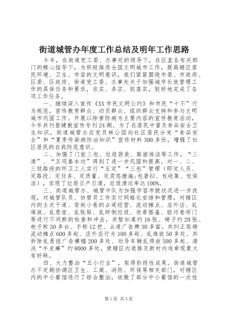 2024年街道城管办年度工作总结及明年工作思路