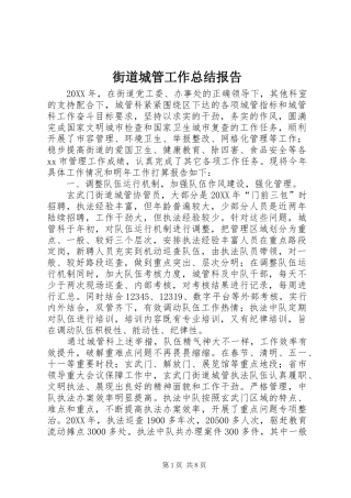 2024年街道城管工作总结报告