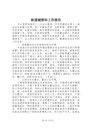 2024年街道城管科工作报告