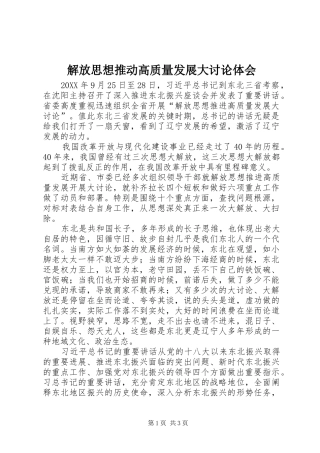 2024年解放思想推动高质量发展大讨论体会