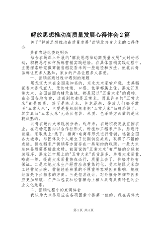 2024年解放思想推动高质量发展心得体会篇