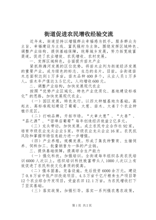 2024年街道促进农民增收经验交流