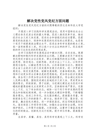 2024年解决党性党风党纪方面问题