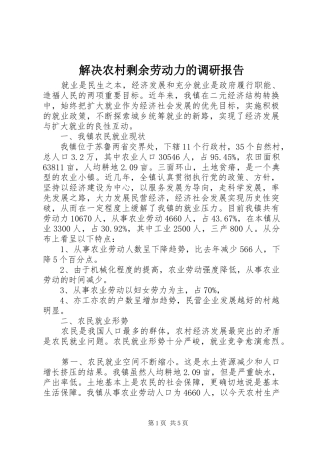 2024年解决农村剩余劳动力的调研报告