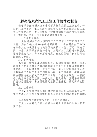 2024年解决拖欠农民工工资工作的情况报告