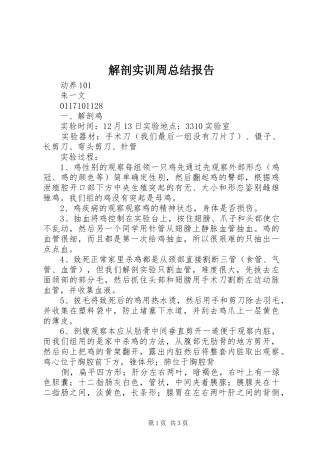 2024年解剖实训周总结报告