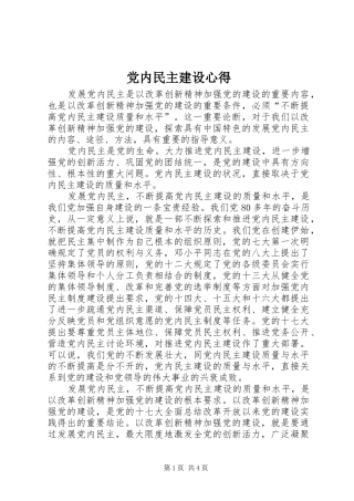 2024年党内民主建设心得