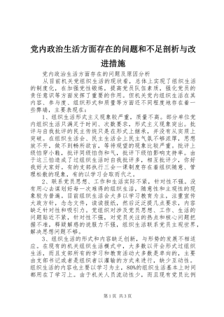 2024年党内政治生活方面存在的问题和不足剖析与改进措施