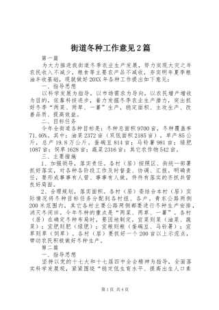 2024年街道冬种工作意见篇