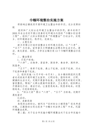 2024年巾帼环境整治实施方案