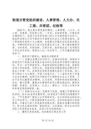 2024年街道分管党组织建设人事管理人大办关工委共青团纪检等