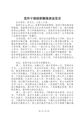 2024年党外干部挂职锻炼表态讲话