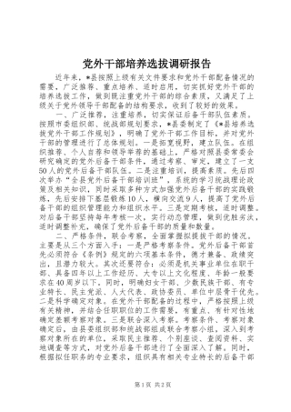 2024年党外干部培养选拔调研报告