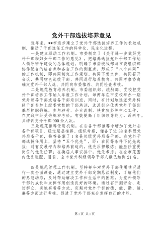 2024年党外干部选拔培养意见