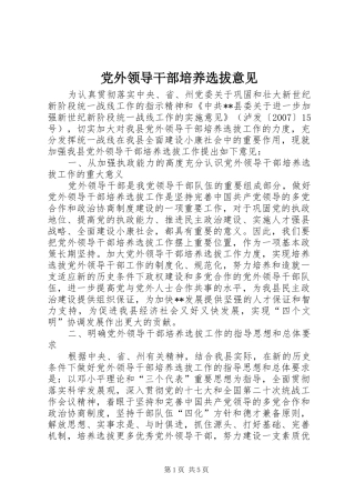 2024年党外领导干部培养选拔意见