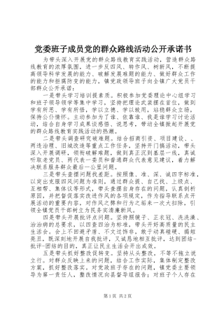 2024年党委班子成员党的群众路线活动公开承诺书