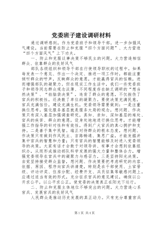 2024年党委班子建设调研材料