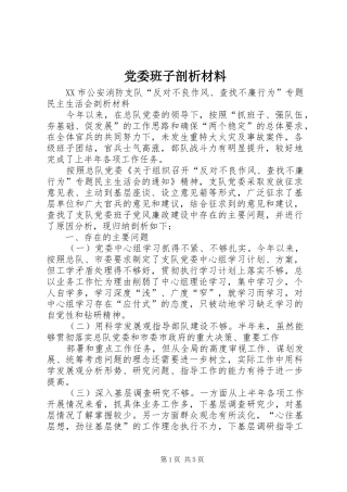 2024年党委班子剖析材料