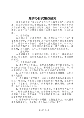 2024年党委办自我整改措施