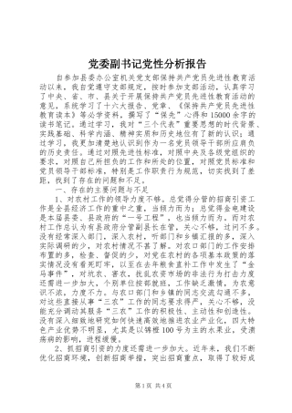 2024年党委副书记党性分析报告