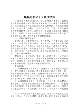 2024年党委副书记个人整改措施