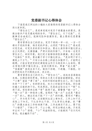2024年党委副书记心得体会