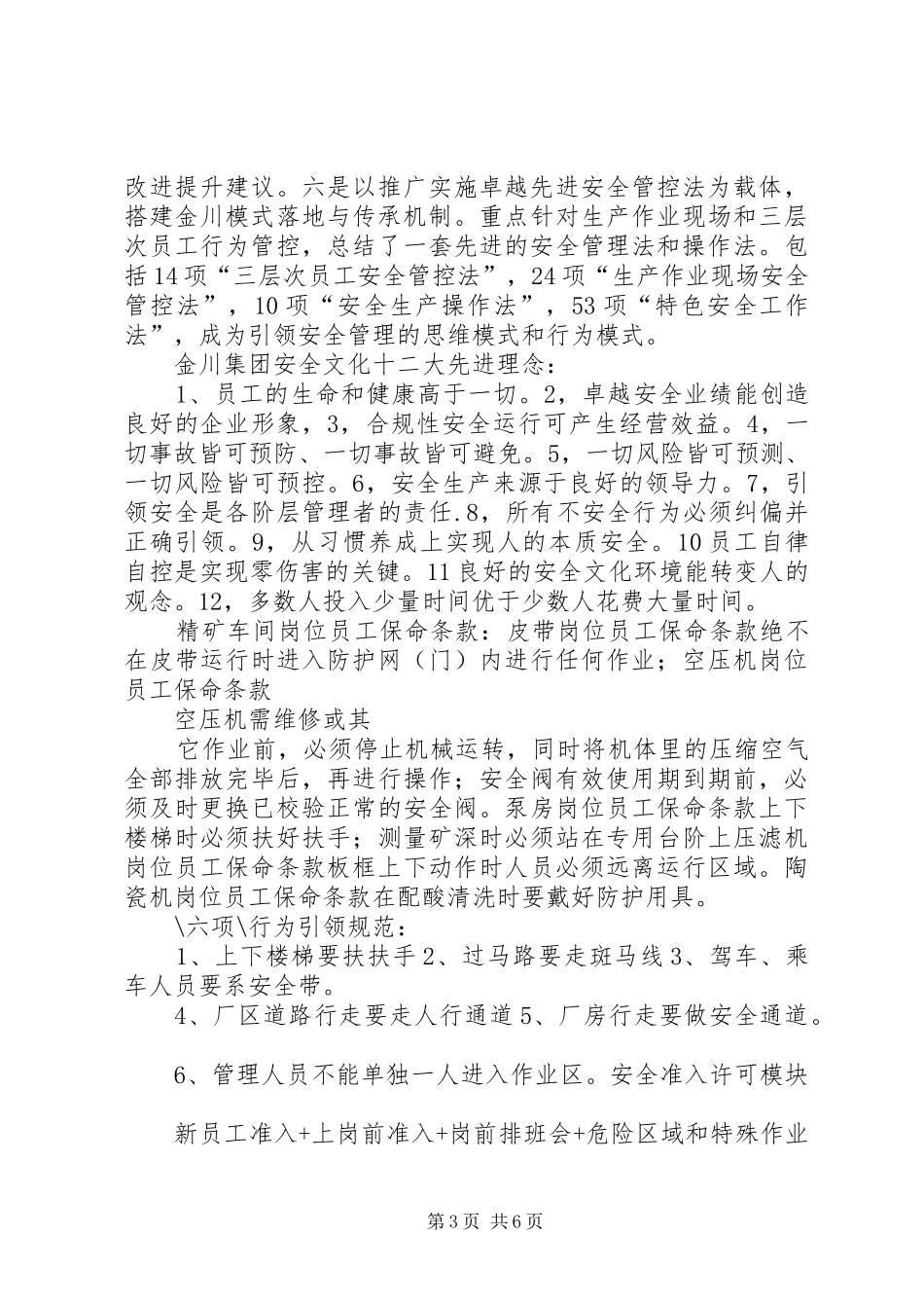 2024年金川五阶段安全文化管控集成模式赵千里_第3页