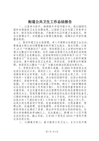 2024年街道公共卫生工作总结报告