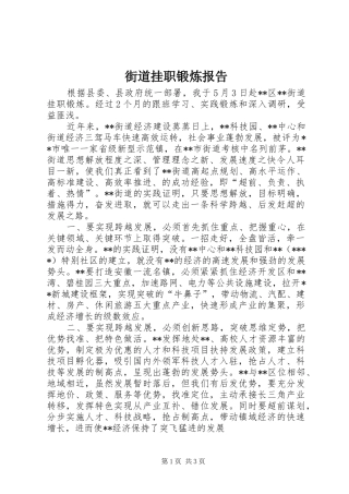 2024年街道挂职锻炼报告